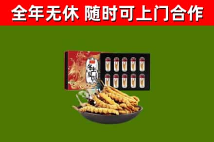 巢湖市烟酒回收冬虫夏草礼盒.jpg